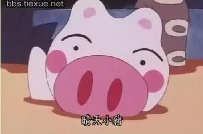 晴天小猪图片