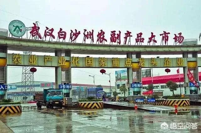 武汉白沙洲房子值得买吗