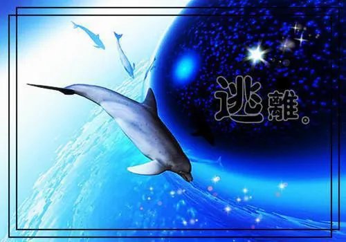 树叶贴画作品图片大全