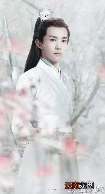 彼其之子美如玉是什么意思