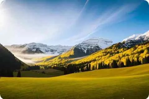 山东王氏族谱字辈大全，山东王氏家谱查询