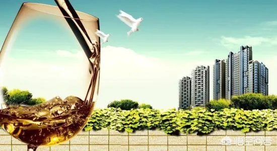 康平县两家子的房价会涨吗？