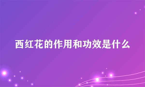 西红花的作用和功效是什么
