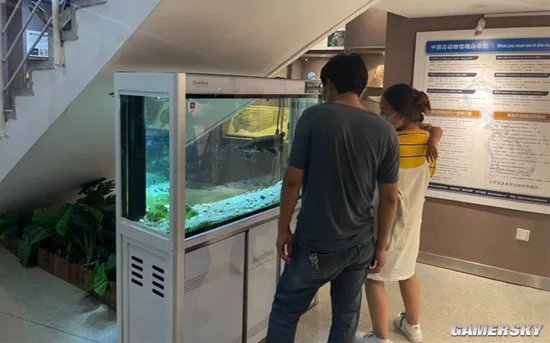 中国古动物馆鳄雀鳝咬伤游客 专家呼吁停止售卖、放生