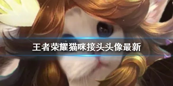 《王者荣耀》猫咪接头头像最新 猫咪头像大全