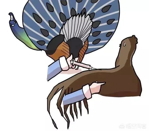 孩子害怕打针，家长如何帮助孩子克服恐惧心理？