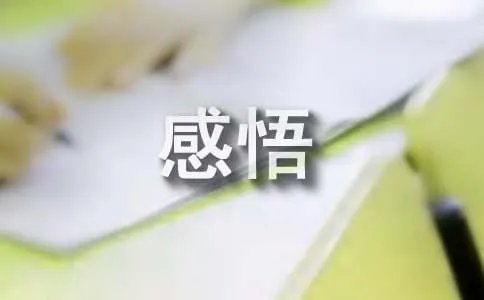 人生感悟语句