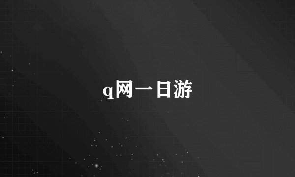 q网一日游