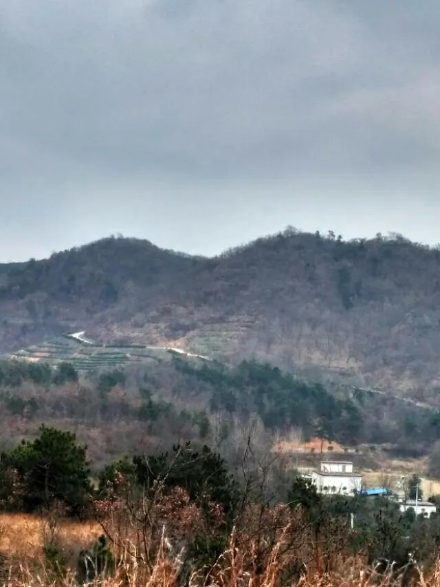 贵州深山的“龙吟”声是什么回事?真的是有不明大型动物未发现吗?