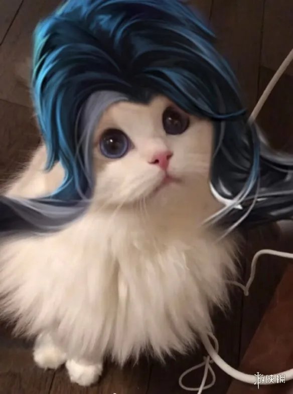 《王者荣耀》猫咪接头头像最新 猫咪头像大全