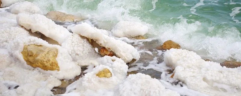 世界上海拔最低的湖泊是什么