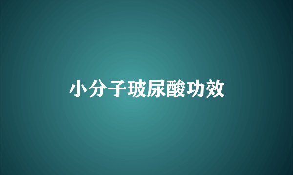 小分子玻尿酸功效