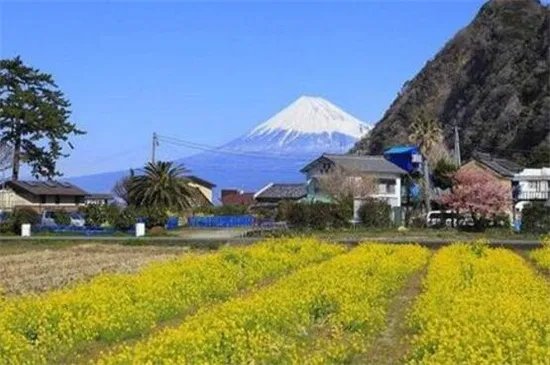 静冈县在日本哪里