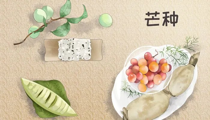 芒种节气习俗有哪些 芒种节气有什么讲究