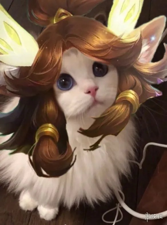 《王者荣耀》猫咪接头头像最新 猫咪头像大全