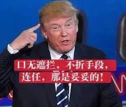 2020年的美国总统大选，你预测特朗普会成功连任吗？还是拜登会赢？