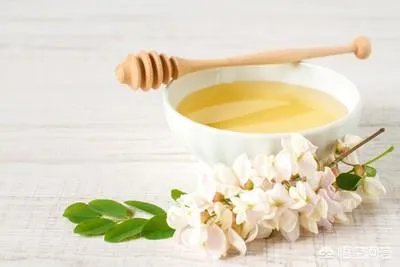 刺槐树有什么作用?