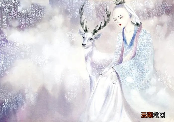 精心策划了一场复仇大戏 灭门后的复仇