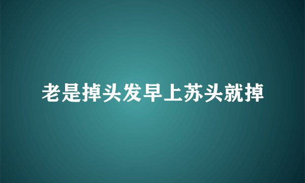 老是掉头发早上苏头就掉