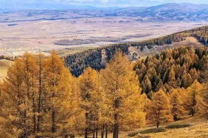 立秋是从哪天算起2022？今年立秋是几伏天