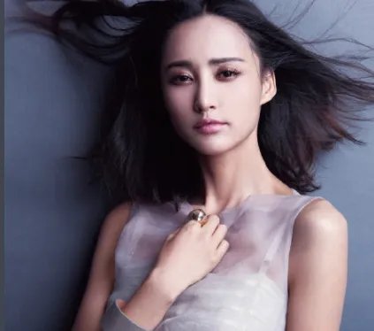 王志飞何时与张歆艺分手