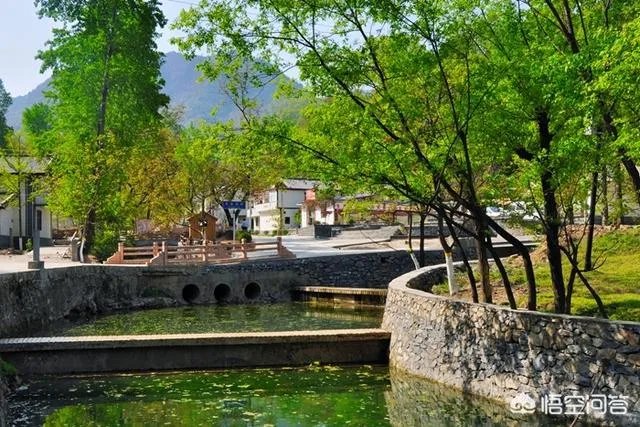 甘肃陇南康县目前有多少个美丽乡村？