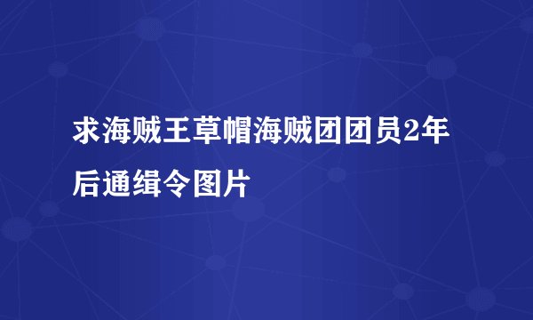 求海贼王草帽海贼团团员2年后通缉令图片