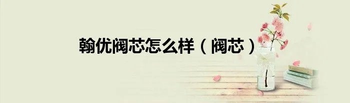 翰优阀芯怎么样（阀芯）