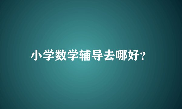 小学数学辅导去哪好？