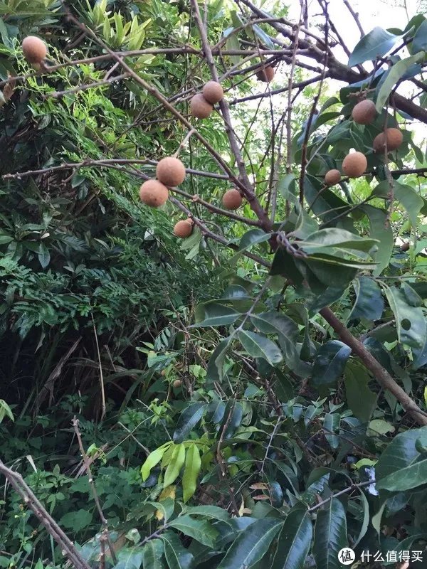 修飞机人周末好去处：高百丈风景区羊石水库