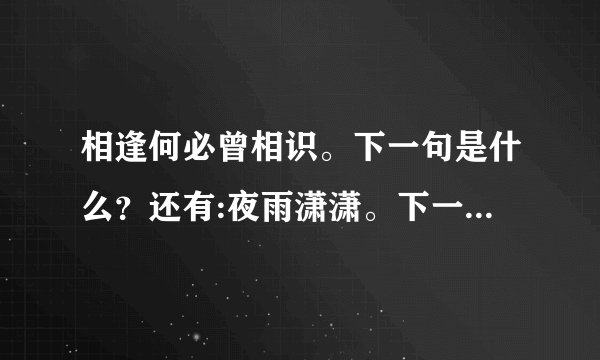 相逢何必曾相识。下一句是什么？还有:夜雨潇潇。下一句怎么接？