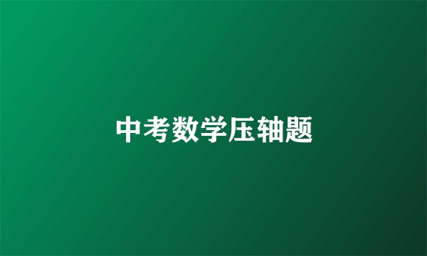 中考数学压轴题