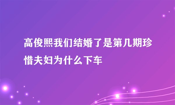 高俊熙我们结婚了是第几期珍惜夫妇为什么下车