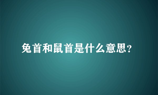 兔首和鼠首是什么意思？