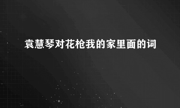 袁慧琴对花枪我的家里面的词