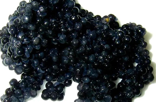 黑鱼子酱价格多少钱一斤 黑鱼子酱为什么那么贵