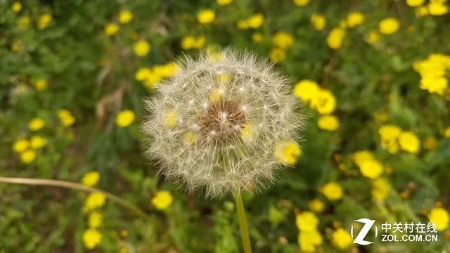 DC基因+1600万极致影像 联想VIBE Shot评测