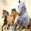 你听过最微妙的一句话是什么?