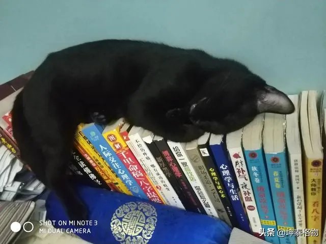 和一个自以为很了不起，自以为是的人，怎样相处？