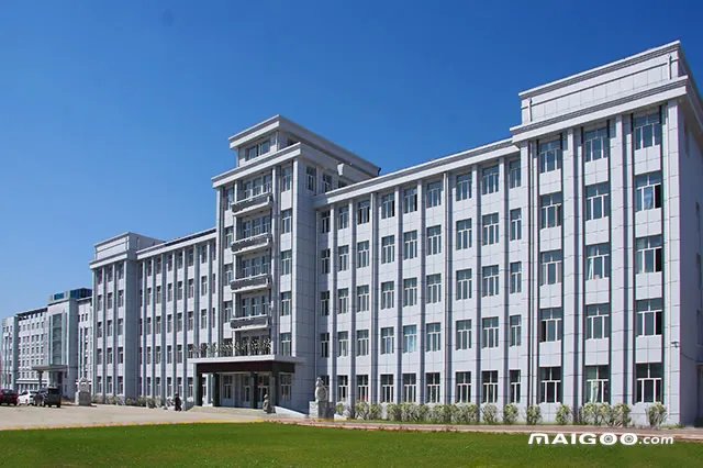 2022年鹤岗市大学排行 鹤岗大学名单一览【大学名录】