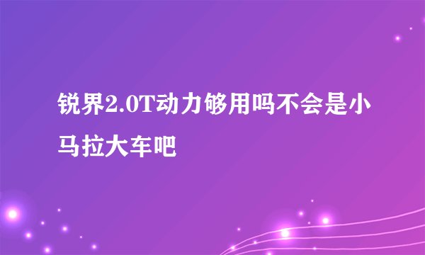 锐界2.0T动力够用吗不会是小马拉大车吧