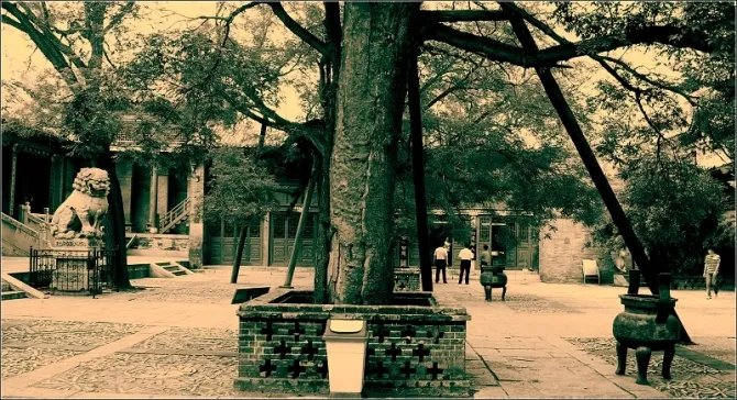 夏辛酉的《山东通志·夏辛酉传》