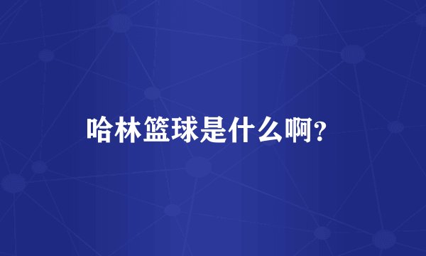 哈林篮球是什么啊?