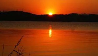 露似珍珠月似弓描写的什么季节