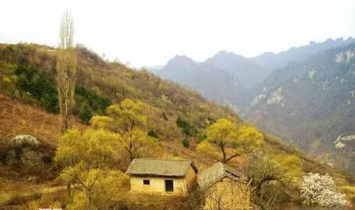 陕西夜狸猫事件发生地 村子的人都去哪里了