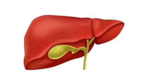 肝癌晚期中药治疗效果如何
