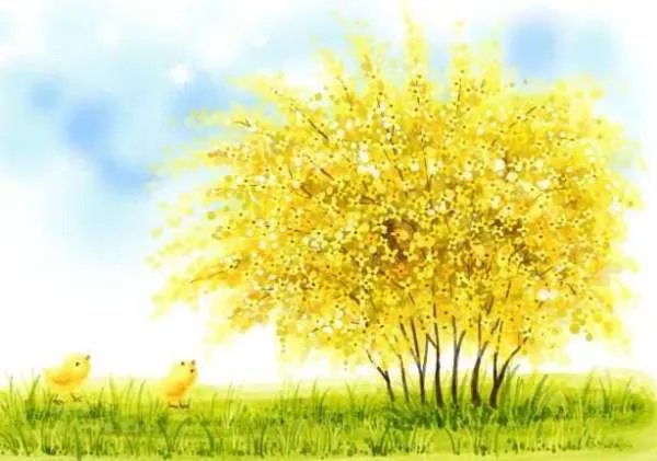 天津哪个服装批发市场最大