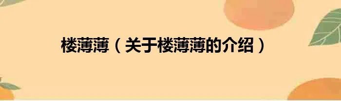 楼薄薄（关于楼薄薄的介绍）