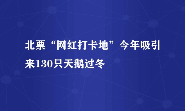 北票“网红打卡地”今年吸引来130只天鹅过冬