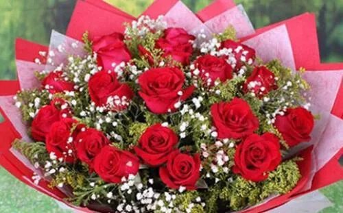 16朵玫瑰花代表什么意思 送玫瑰花代表什么